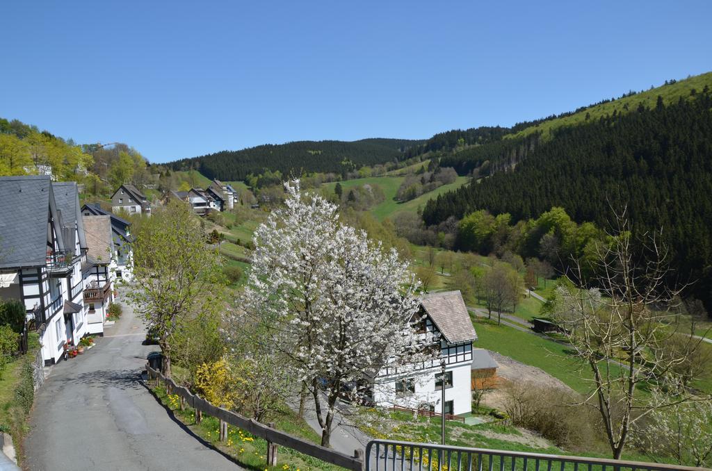 Gasthaus Landhaus Forra Schmallenberg Exterior foto